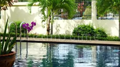 令人惊叹的热带度假胜地，游泳池淹没在绿色植物和弗兰吉帕尼花在泰国。 3840x2160